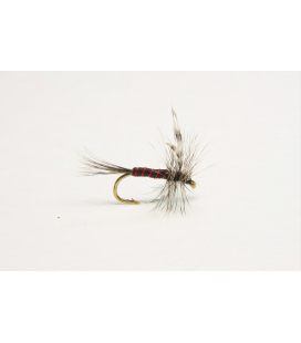 Black red Mosquito 14